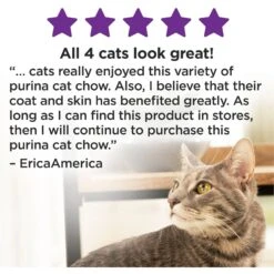 Cat Chow Sensitive Stomach Gentle Dry Cat Food -PurePet Bites Shop 100118 PT6. AC SS1800 V1695736857