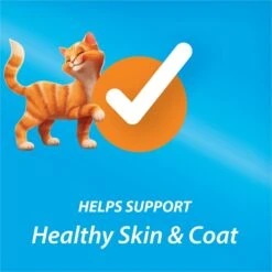 Kit & Kaboodle Dry Cat Food 17 Kit & Kaboodle Dry Cat Food -PurePet Bites Shop 100160 PT6. AC SS1800 V1699391233