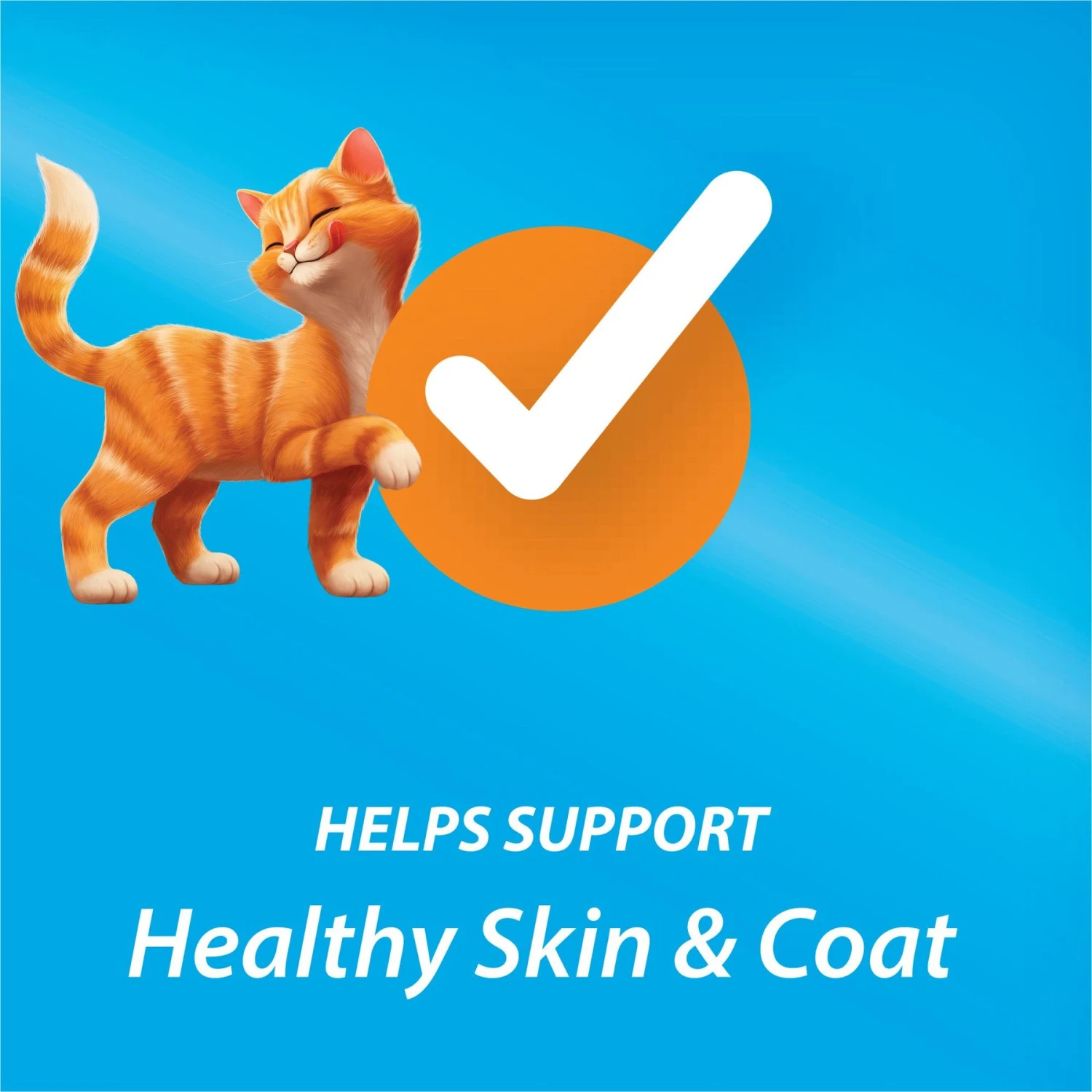 Kit & Kaboodle Dry Cat Food 9 Kit & Kaboodle Dry Cat Food - Image 7