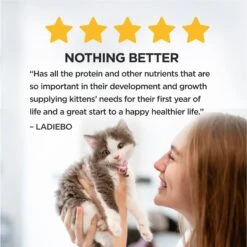 Kitten Chow Nurture Muscle & Brain Development Dry Cat Food -PurePet Bites Shop 100176 PT7. AC SS1800 V1695847358