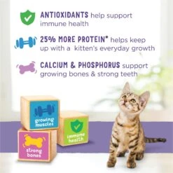 Kitten Chow Nurture Muscle & Brain Development Dry Cat Food -PurePet Bites Shop 100176 PT8. AC SS1800 V1695743594