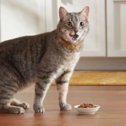 Meow Mix Tender Favorites Poultry & Beef Cat Food Trays Variety Pack -PurePet Bites Shop 100237 PT4. AC SS1800 V1670940459