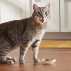 Meow Mix Tender Favorites Surf 'N Turf Variety Pack Cat Food Trays -PurePet Bites Shop 100241 PT4. AC SS1800 V1670940730