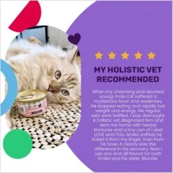 I And Love And You Savory Salmon Pate Grain-Free Canned Cat Food -PurePet Bites Shop 100750 PT3. AC SS1800 V1692390321