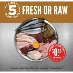 ORIJEN Original Grain-Free Dry Cat Food -PurePet Bites Shop 101301 PT3. AC SS1800 V1689692247