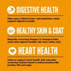 ORIJEN Original Grain-Free Dry Cat Food -PurePet Bites Shop 101301 PT4. AC SS1800 V1689692209