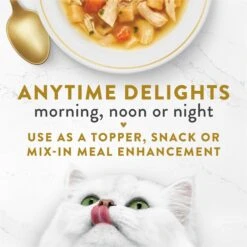 Fancy Feast Classic Broths With Chicken & Vegetables Supplemental Wet Cat Food Pouches 13 Fancy Feast Classic Broths With Chicken & Vegetables Supplemental Wet Cat Food Pouches -PurePet Bites Shop 101736 PT2. AC SS1800 V1696264488