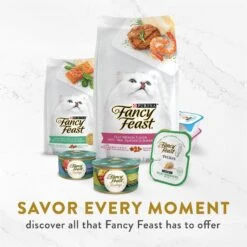 Fancy Feast Classic Broths With Chicken & Vegetables Supplemental Wet Cat Food Pouches 16 Fancy Feast Classic Broths With Chicken & Vegetables Supplemental Wet Cat Food Pouches -PurePet Bites Shop 101736 PT5. AC SS1800 V1696253891