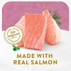 Fancy Feast Classic Broths With Wild Salmon & Vegetables Supplemental Wet Cat Food Pouches -PurePet Bites Shop 101743 PT1. AC SS1800 V1696263925