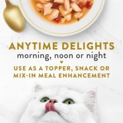 Fancy Feast Classic Broths With Wild Salmon & Vegetables Supplemental Wet Cat Food Pouches -PurePet Bites Shop 101743 PT2. AC SS1800 V1696260792