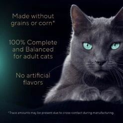 Sheba Gravy Indulgence Salmon Entree In Extra Gravy Grain-Free Adult Wet Cat Food, 2.64-oz Can, Case Of 24 14 Sheba Gravy Indulgence Salmon Entree In Extra Gravy Grain-Free Adult Wet Cat Food, 2.64-oz Can, Case Of 24 -PurePet Bites Shop 1017670 PT3. AC SS1800 V1700599138