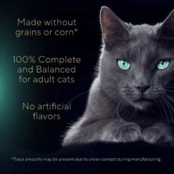 Sheba Gravy Indulgence Chicken & Beef In Extra Gravy Variety Pack Grain-Free Adult Wet Cat Food, 2.64-oz Can, Case Of 12 -PurePet Bites Shop 1017678 PT3. AC SS1800 V1700599150