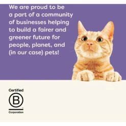 Applaws Variety Selection In Broth Variety Pack Grain-Free Wet Cat Food -PurePet Bites Shop 1017982 PT6. AC SS1800 V1700598694