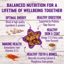 Wellness Complete Health Minced Poultry Pleasers Variety Pack Grain-Free Canned Cat Food 17 Wellness Complete Health Minced Poultry Pleasers Variety Pack Grain-Free Canned Cat Food -PurePet Bites Shop 102003 PT6. AC SS1800 V1666650038