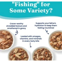 Solid Gold Five Oceans Variety Pack Wet Cat Food, 3-oz Can, Case Of 12 -PurePet Bites Shop 1021734 PT3. AC SS1800 V1700681131