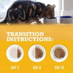 Purina Beyond Grain-Free Pate 3 Flavors Variety Pack Canned Cat Food -PurePet Bites Shop 102323 PT7. AC SS1800 V1700162608