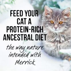 Merrick Backcountry Grain-Free Morsels In Gravy Real Rabbit Recipe Cuts Cat Food Pouches -PurePet Bites Shop 102334 PT6. AC SS1800 V1638046030