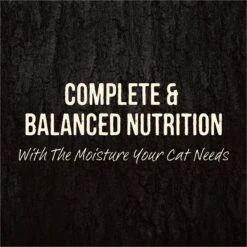 Merrick Backcountry Grain-Free Morsels In Gravy Real Rabbit Recipe Cuts Cat Food Pouches -PurePet Bites Shop 102334 PT7. AC SS1800 V1638034297
