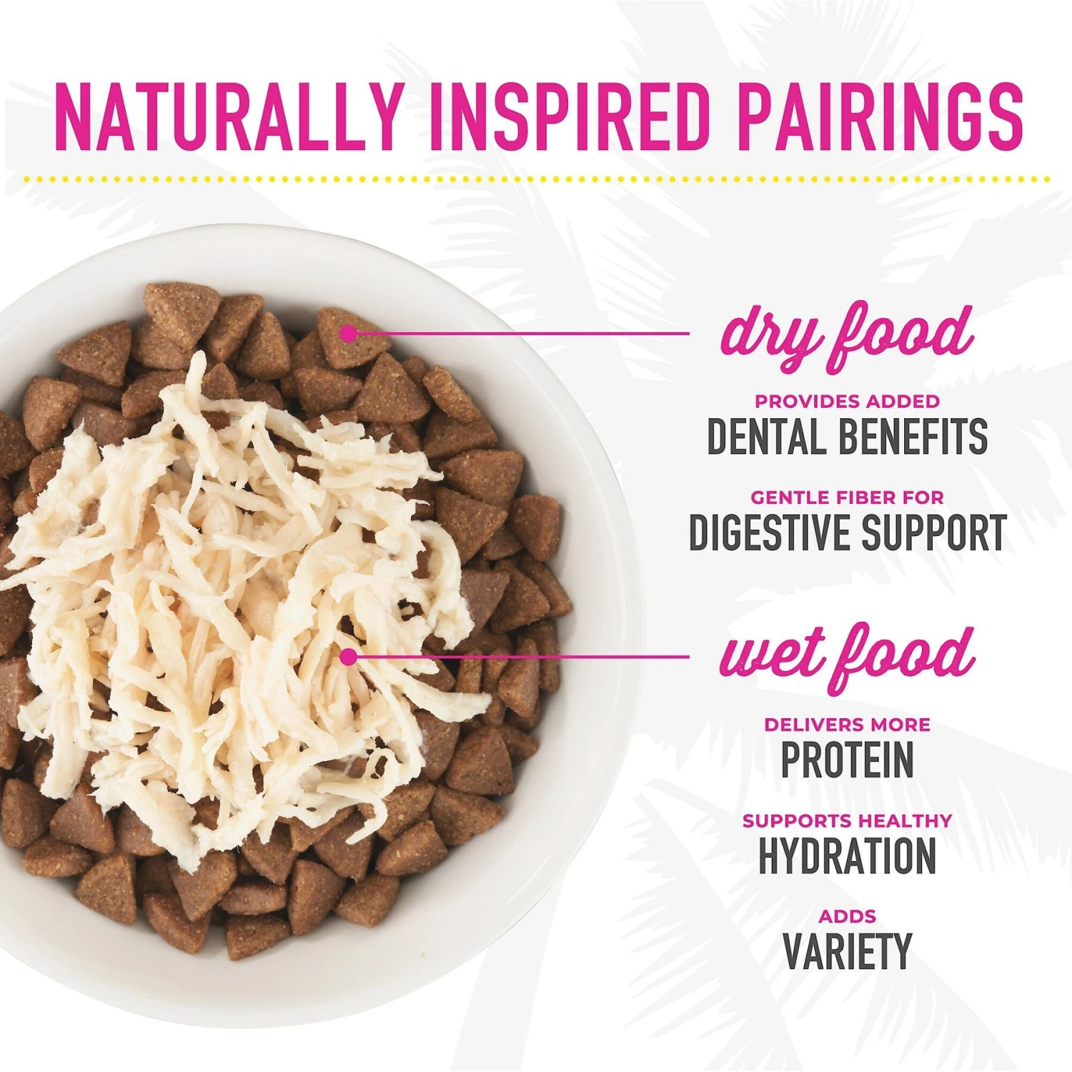 Tiki Cat Aloha Friends Variety Pack Grain-Free Wet Cat Food 10 Tiki Cat Aloha Friends Variety Pack Grain-Free Wet Cat Food - Image 8