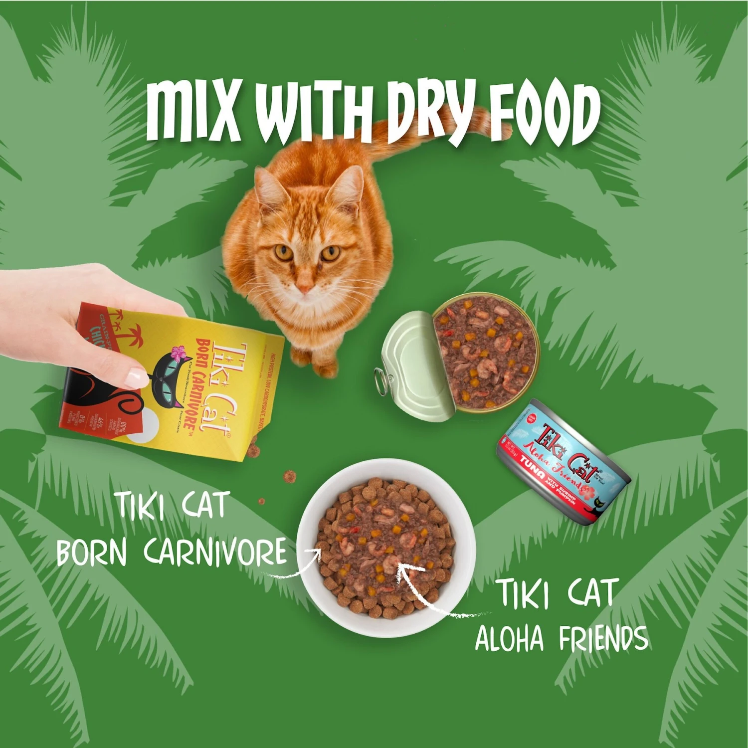 Tiki Cat Aloha Friends Variety Pack Grain-Free Wet Cat Food 11 Tiki Cat Aloha Friends Variety Pack Grain-Free Wet Cat Food - Image 9