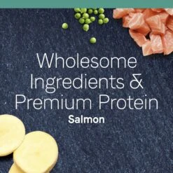 CANIDAE Grain-Free PURE Limited Ingredient Salmon Recipe Dry Cat Food -PurePet Bites Shop 103334 PT3. AC SS1800 V1643680318