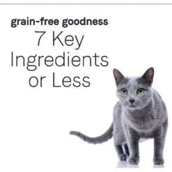 CANIDAE Grain-Free PURE Limited Ingredient Salmon Recipe Dry Cat Food -PurePet Bites Shop 103334 PT4. AC SS1800 V1643679111