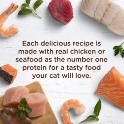 Rachael Ray Nutrish Tuna Purrfection Natural Grain-Free Wet Cat Food -PurePet Bites Shop 105377 PT3. AC SS1800 V1535580204