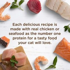 Rachael Ray Nutrish Chicken Purrcata Natural Grain-Free Wet Cat Food -PurePet Bites Shop 105378 PT4. AC SS1800 V1657654929