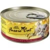 Fussie Cat Super Premium Chicken & Beef Formula In Pumpkin Soup Grain-Free Canned Cat Food -PurePet Bites Shop 105720 MAIN. AC SS1800 V1642556188
