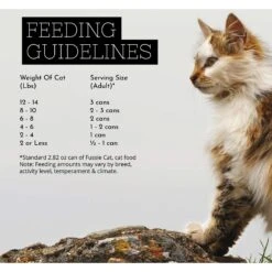 Fussie Cat Super Premium Chicken & Beef Formula In Pumpkin Soup Grain-Free Canned Cat Food -PurePet Bites Shop 105720 PT4. AC SS1800 V1642565231
