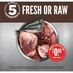 ORIJEN Regional Red Grain-Free Dry Cat Food -PurePet Bites Shop 106516 PT3. AC SS1800 V1689693094