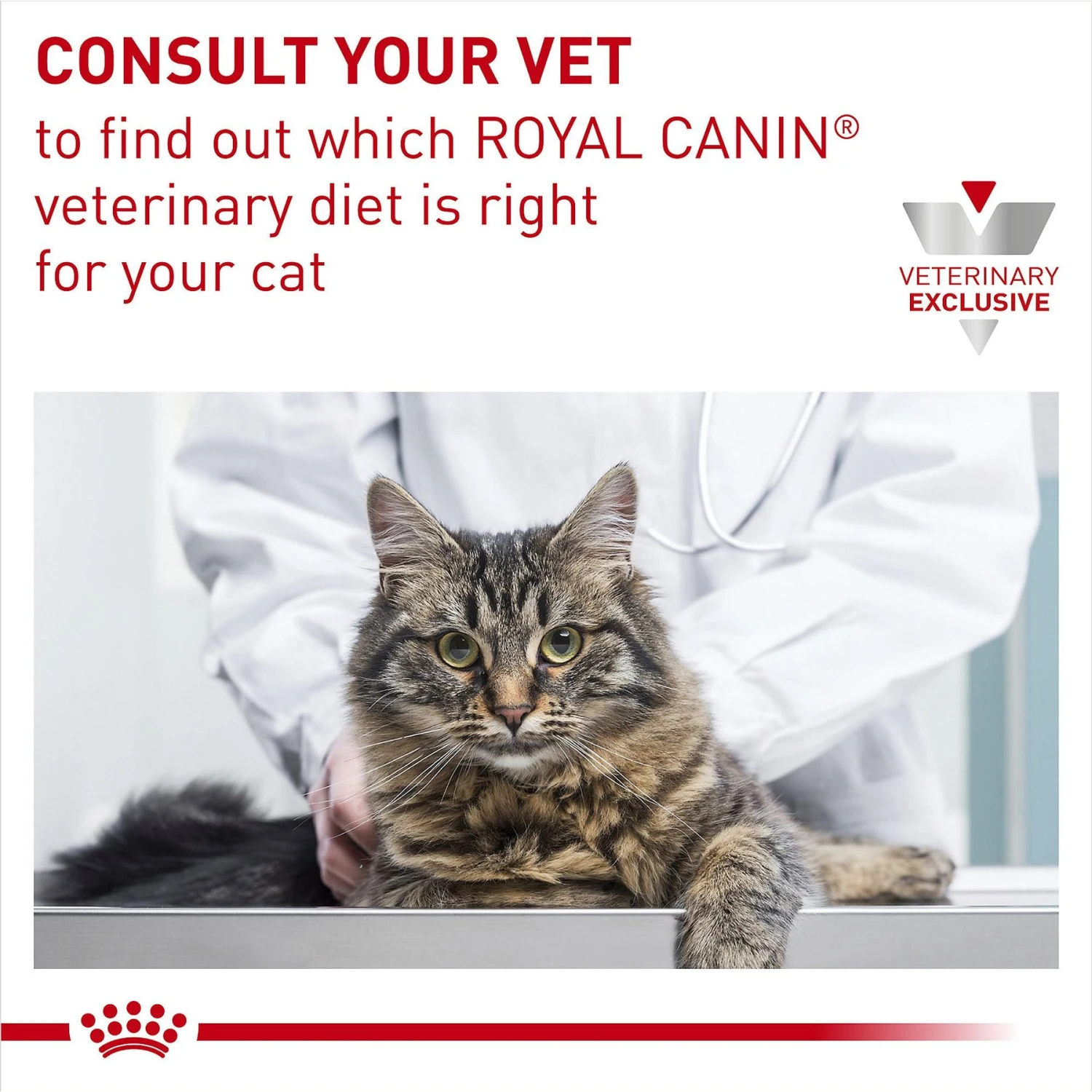 Royal Canin Veterinary Diet Adult Ultamino Dry Cat Food 11 Royal Canin Veterinary Diet Adult Ultamino Dry Cat Food - Image 9