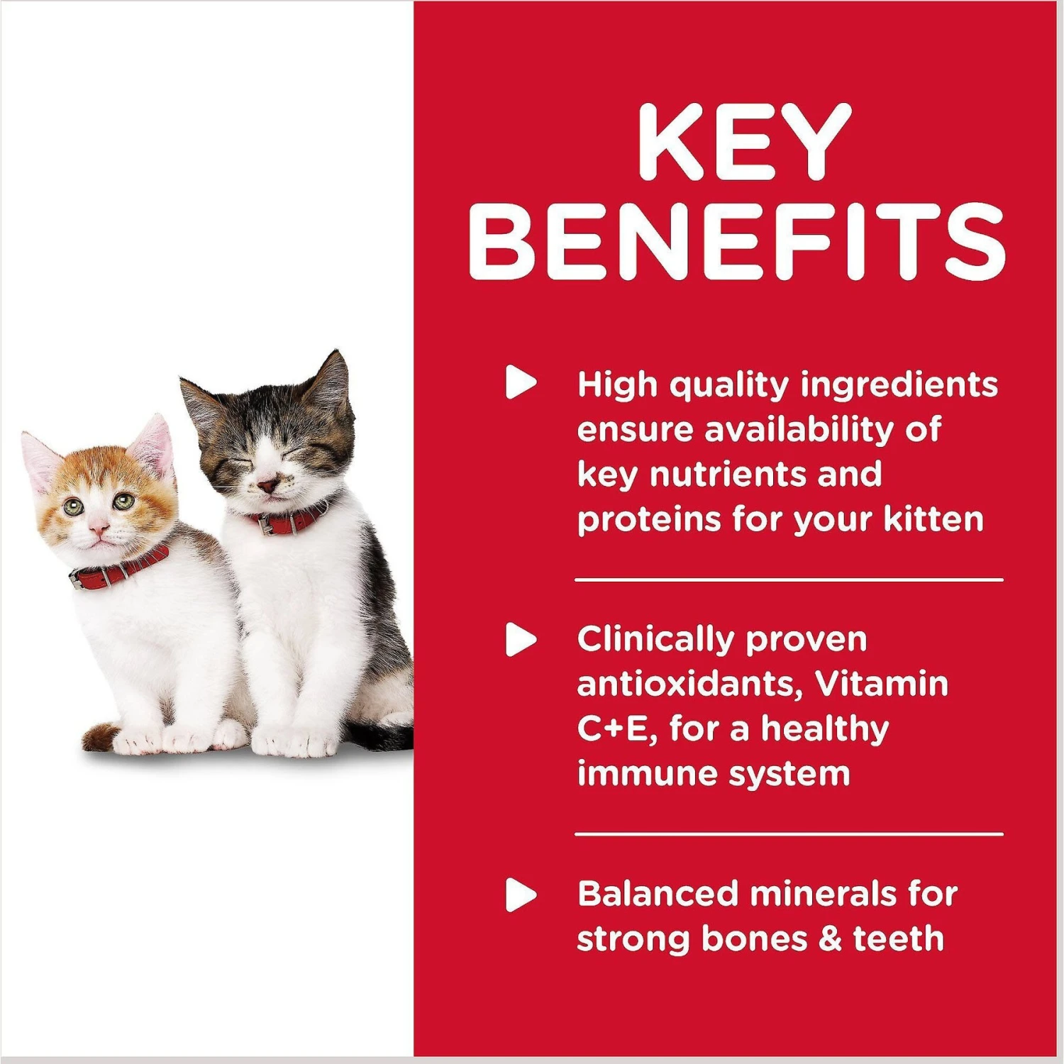 Hill's Science Diet Kitten Savory Salmon Entree Canned Cat Food 6 Hill's Science Diet Kitten Savory Salmon Entree Canned Cat Food - Image 4