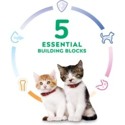 Hill's Science Diet Kitten Liver & Chicken Entree Canned Cat Food -PurePet Bites Shop 110297 PT4. AC SS1800 V1690565351