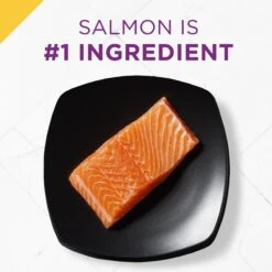 Purina Pro Plan Prime Plus Adult 7+ Salmon & Tuna Entree Classic Canned Cat Food, 3-oz Can, Case Of 24 -PurePet Bites Shop 111107 PT2. AC SS1800 V1585863093