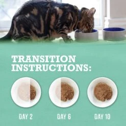 Purina Beyond Grain-Free Pate Alaskan Cod & Spinach Recipe Canned Cat Food -PurePet Bites Shop 112035 PT8. AC SS1800 V1700159422