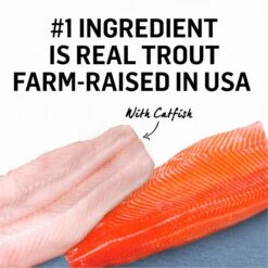 Purina Beyond Grain-Free Trout & Catfish Pate Recipe Canned Cat Food -PurePet Bites Shop 112042 PT3. AC SS1800 V1699391905