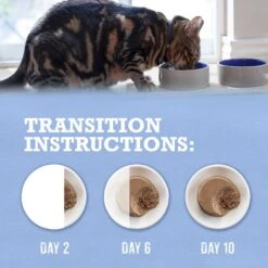 Purina Beyond Grain-Free Trout & Catfish Pate Recipe Canned Cat Food -PurePet Bites Shop 112042 PT8. AC SS1800 V1700158542