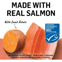 Purina Beyond Wild Alaskan Salmon & Sweet Potato Recipe In Gravy Canned Cat Food -PurePet Bites Shop 112048 PT3. AC SS1800 V1700158958