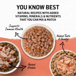 Purina Beyond Wild Alaskan Salmon & Sweet Potato Recipe In Gravy Canned Cat Food -PurePet Bites Shop 112048 PT6. AC SS1800 V1699391910