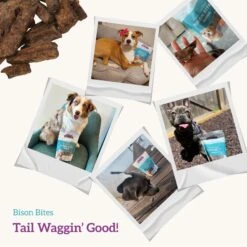 Purina Beyond Wild Alaskan Salmon & Sweet Potato Recipe In Gravy Canned Cat Food -PurePet Bites Shop 112048 PT8. AC SS1800 V1693491452