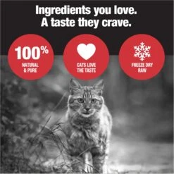 PureSnacks Chicken Breast Freeze-Dried Cat Treats -PurePet Bites Shop 113334 PT2. AC SS1800 V1677604638