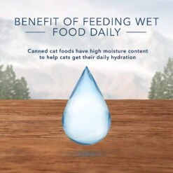 Blue Buffalo Wilderness Pate Kitten Variety Pack With Chicken & Salmon Grain-Free Cat Food -PurePet Bites Shop 114188 PT6. AC SS1800 V1601027166