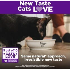 Wellness Complete Health Natural Grain-Free Deboned Chicken & Chicken Meal Dry Kitten Food 15 Wellness Complete Health Natural Grain-Free Deboned Chicken & Chicken Meal Dry Kitten Food -PurePet Bites Shop 114499 PT4. AC SS1800 V1636519673