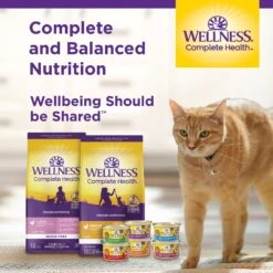 Wellness Complete Health Natural Grain-Free Deboned Chicken & Chicken Meal Dry Kitten Food 16 Wellness Complete Health Natural Grain-Free Deboned Chicken & Chicken Meal Dry Kitten Food -PurePet Bites Shop 114499 PT5. AC SS1800 V1636504615
