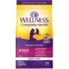 Wellness Complete Health Natural Grain-Free Salmon & Herring Dry Cat Food -PurePet Bites Shop 114503 MAIN. AC SS1800 V1636499198