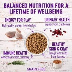 Wellness Complete Health Natural Grain-Free Deboned Chicken & Chicken Meal Dry Cat Food 13 Wellness Complete Health Natural Grain-Free Deboned Chicken & Chicken Meal Dry Cat Food -PurePet Bites Shop 114504 PT2. AC SS1800 V1636554118