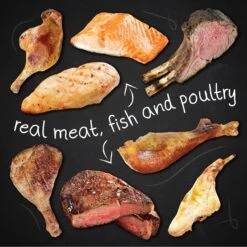 Hound & Gatos 98% Lamb, Chicken & Salmon Grain-Free Canned Cat Food -PurePet Bites Shop 115102 PT5. AC SS1800 V1594851091