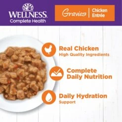 Wellness Natural Grain-Free Gravies Chicken Entrée Canned Cat Food -PurePet Bites Shop 118853 PT2. AC SS1800 V1695839057