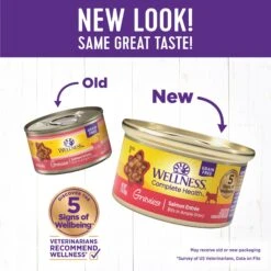 Wellness Natural Grain-Free Gravies Salmon Entree Canned Cat Food 11 Wellness Natural Grain-Free Gravies Salmon Entree Canned Cat Food -PurePet Bites Shop 118862 PT1. AC SS1800 V1695846611